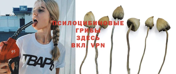 стафф Абаза