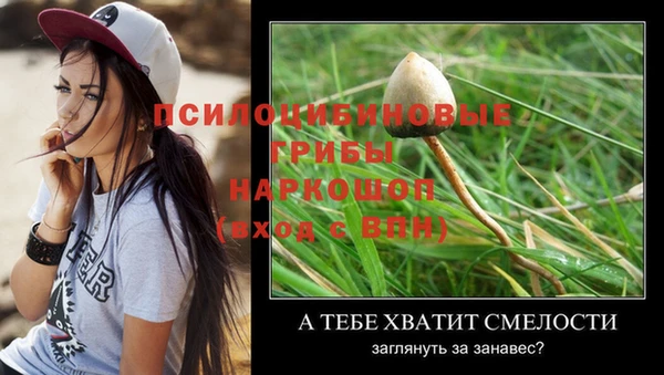 стафф Абаза