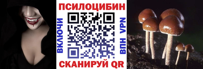 мега ONION купить наркоту Суздаль Галлюциногенные грибы Psilocybe